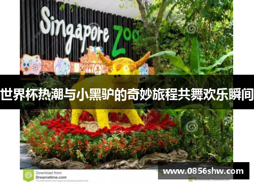 世界杯热潮与小黑驴的奇妙旅程共舞欢乐瞬间