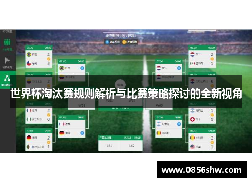 世界杯淘汰赛规则解析与比赛策略探讨的全新视角