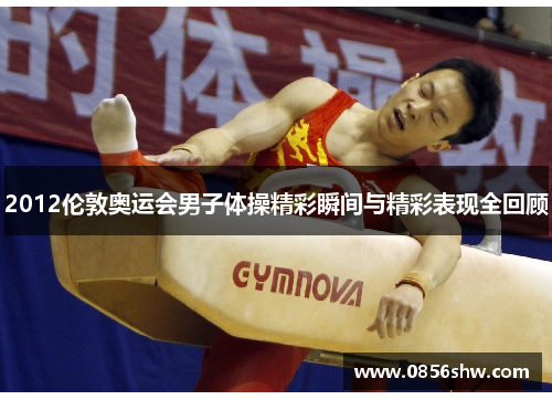 2012伦敦奥运会男子体操精彩瞬间与精彩表现全回顾
