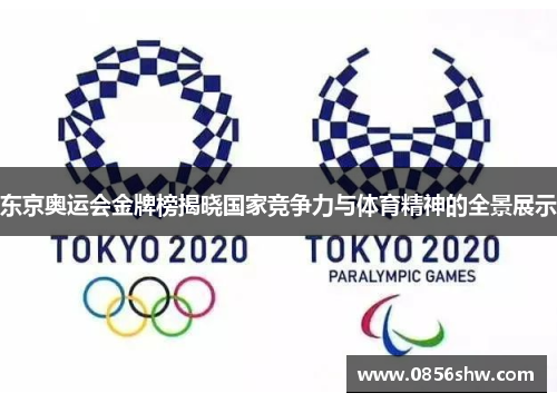 东京奥运会金牌榜揭晓国家竞争力与体育精神的全景展示