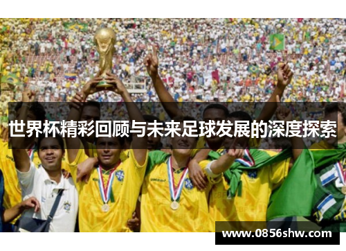 世界杯精彩回顾与未来足球发展的深度探索