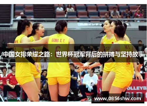 中国女排荣耀之路：世界杯冠军背后的拼搏与坚持故事