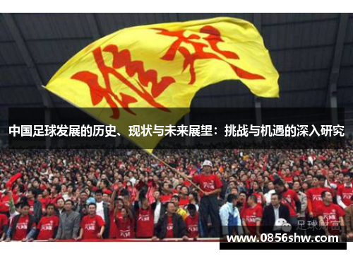 中国足球发展的历史、现状与未来展望：挑战与机遇的深入研究