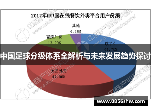 中国足球分级体系全解析与未来发展趋势探讨