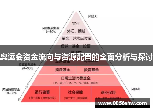 奥运会资金流向与资源配置的全面分析与探讨