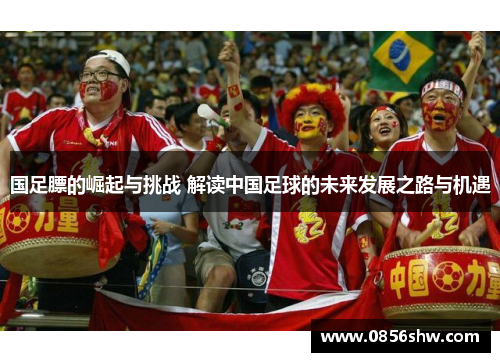 国足膘的崛起与挑战 解读中国足球的未来发展之路与机遇