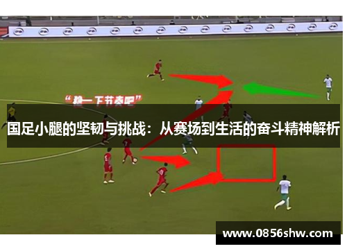 国足小腿的坚韧与挑战：从赛场到生活的奋斗精神解析