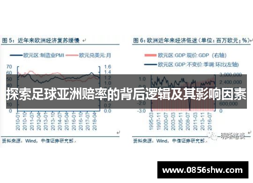 探索足球亚洲赔率的背后逻辑及其影响因素