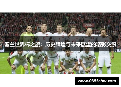 波兰世界杯之旅：历史辉煌与未来展望的精彩交织