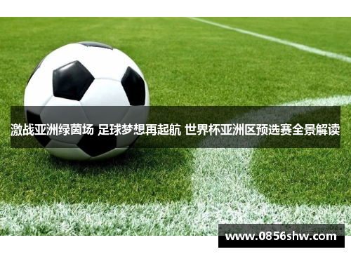 激战亚洲绿茵场 足球梦想再起航 世界杯亚洲区预选赛全景解读