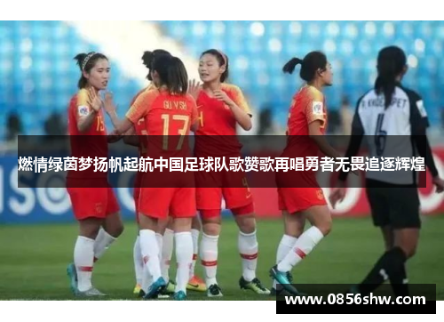 燃情绿茵梦扬帆起航中国足球队歌赞歌再唱勇者无畏追逐辉煌