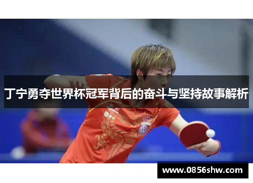 丁宁勇夺世界杯冠军背后的奋斗与坚持故事解析