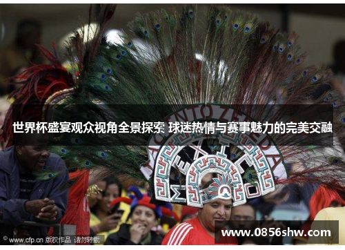 世界杯盛宴观众视角全景探索 球迷热情与赛事魅力的完美交融