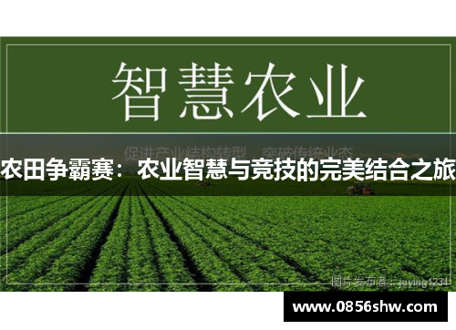 农田争霸赛：农业智慧与竞技的完美结合之旅
