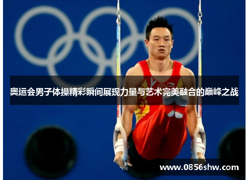 奥运会男子体操精彩瞬间展现力量与艺术完美融合的巅峰之战