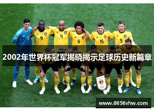 2002年世界杯冠军揭晓揭示足球历史新篇章