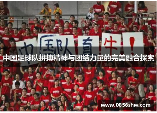 中国足球队拼搏精神与团结力量的完美融合探索
