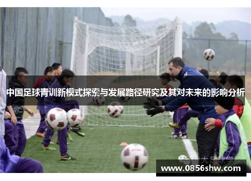 中国足球青训新模式探索与发展路径研究及其对未来的影响分析