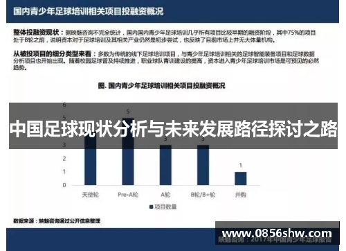 中国足球现状分析与未来发展路径探讨之路