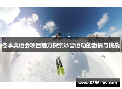 冬季奥运会项目魅力探索冰雪运动的激情与挑战